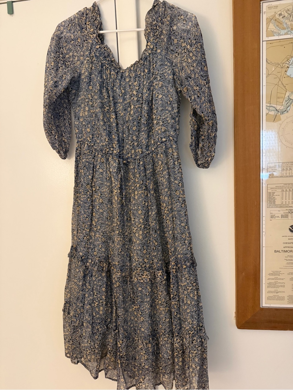 Anthropologie Blue Floral Smocked Midi Dress